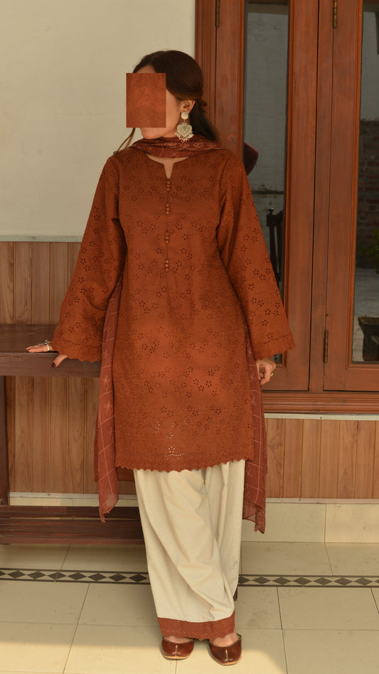 SURMAI CHIKENKARI SET-3PC